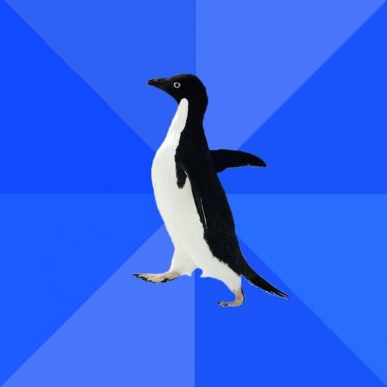socially-awkward-penguin.jpg